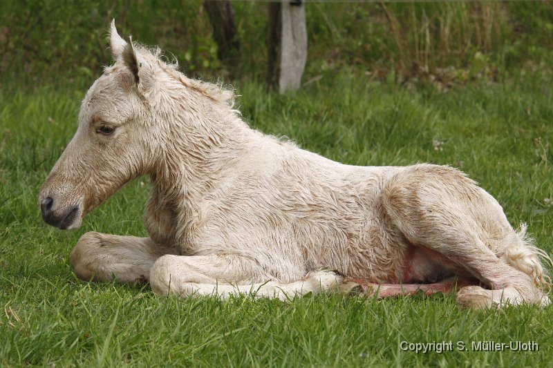 Hjoerdis 44 Min alt (5).JPG